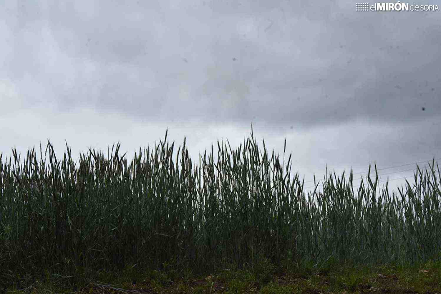 Agroseguro estima que pedrisco ha ocasionado daños de 50 millones en indemnizaciones
