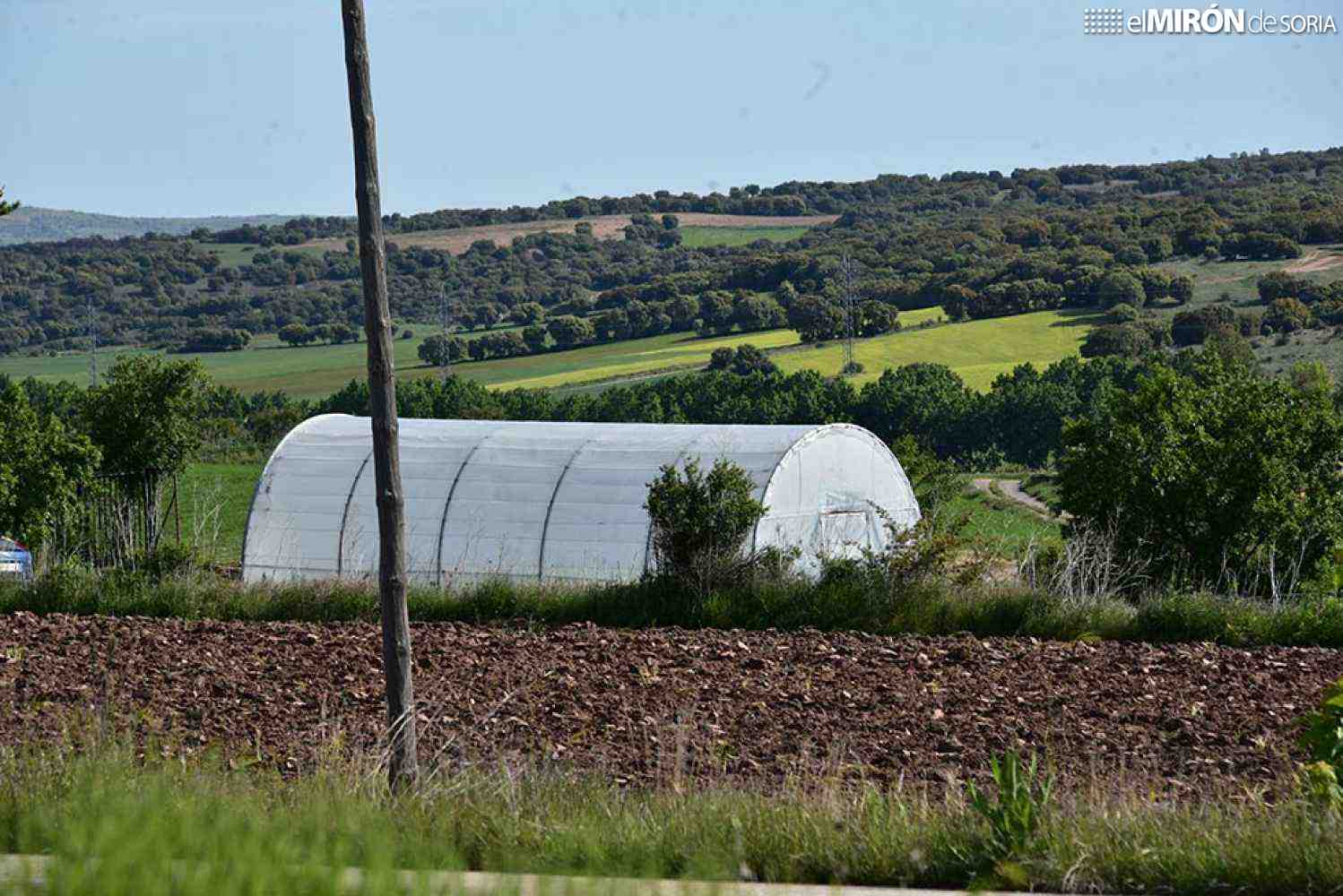 Ólvega potenciará el aprovechamiento de sus pastos