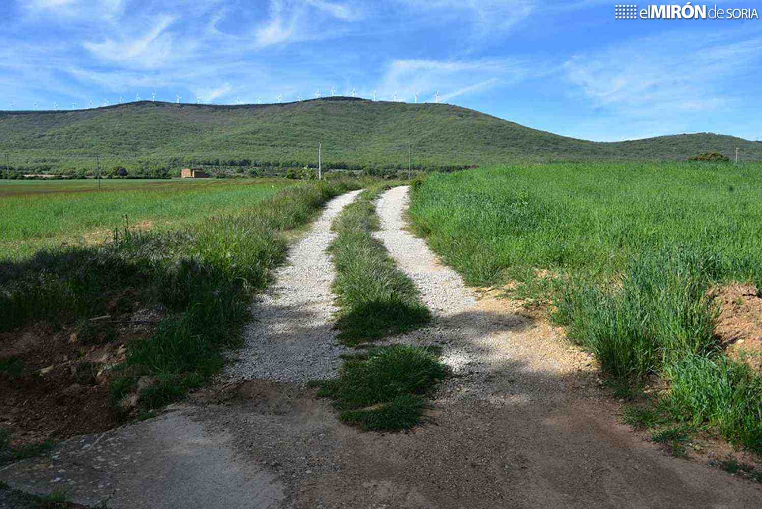 Diputación abre plazo para solicitar ayudas para arreglar caminos rurales en Soria