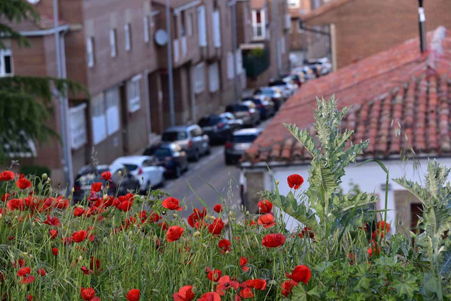 Callejeando por la ciudad de Soria