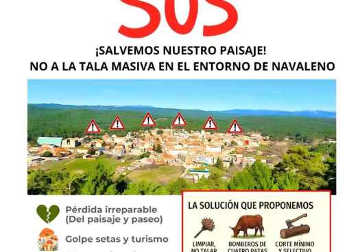 Vecinos de Navaleno se movilizan contra corta de pinos en zonas próximas al casco