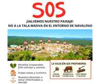 Vecinos de Navaleno se movilizan contra corta de pinos en zonas próximas al casco