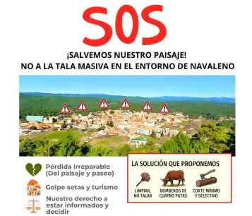 Vecinos de Navaleno se movilizan contra corta de pinos en zonas próximas al casco