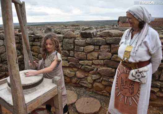 La Diputación impulsa el legado celtíbero de Soria con Jornada Científica 