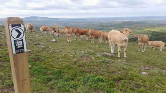 La Mancomunidad de Tierras Altas presentará el "Gran Sendero" de la comarca