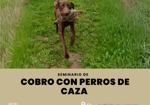 Seminario en Castillejo de Robledo sobre cobro con perros de caza