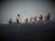 El Campus de Soria explica trabajo de las BRIF para prevenir y extinguir incendios forestales