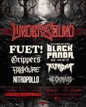 Siete grupos componen cartel de VII edición de Festival Undersound Soria