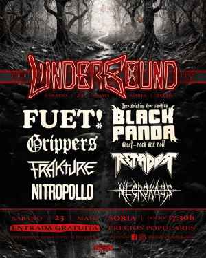 Siete grupos componen cartel de VII edición de Festival Undersound Soria