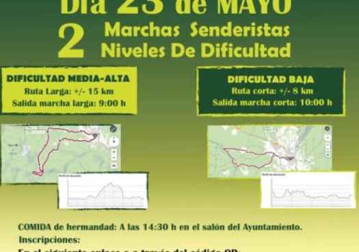 Covaleda anima a participar en VII edición de marcha por inclusión a favor de ASPACE
