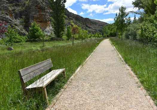 Paseo por la hoz del río Escalote en Berlanga de Duero