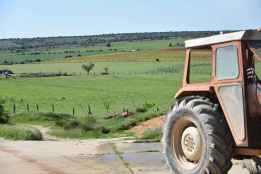 Más de 15.000 agricultores y ganaderos reciben último pago de ayudas agroambientales 
