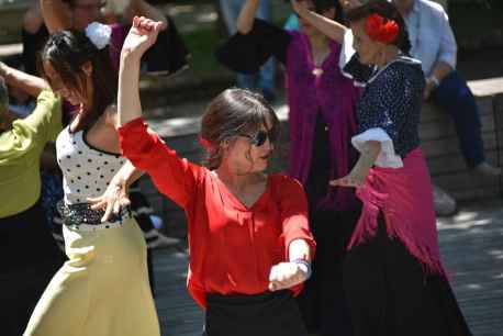 La Asociacion Andaluza en Soria celebra la Cruz de Mayo