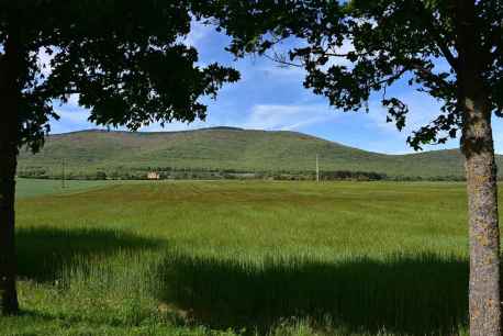 Por el camino verde, en Ólvega, que conduce a ermita de la Virgen de Olmacedo