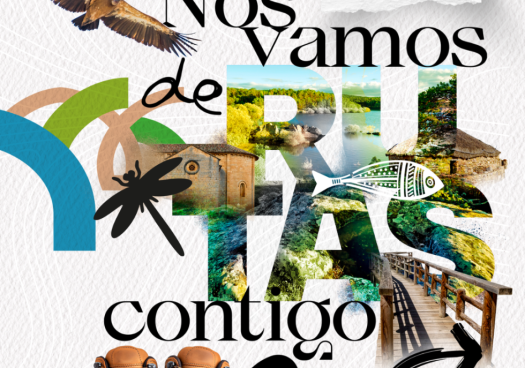 La CHD organiza cuatro rutas interpretativas en Soria en marco del RestauraRíos 2026