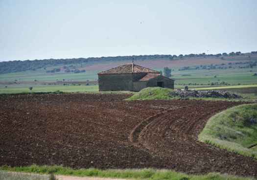 La Junta adjudica redacción del proyecto de ordenación del grupo de cinco montes de Golmayo