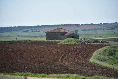 La Junta adjudica redacción del proyecto de ordenación del grupo de cinco montes de Golmayo