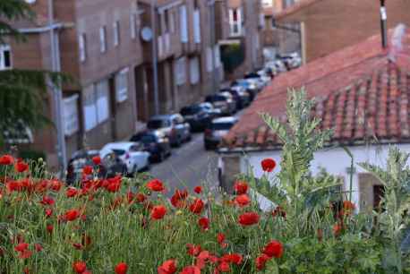 Callejeando por la ciudad de Soria
