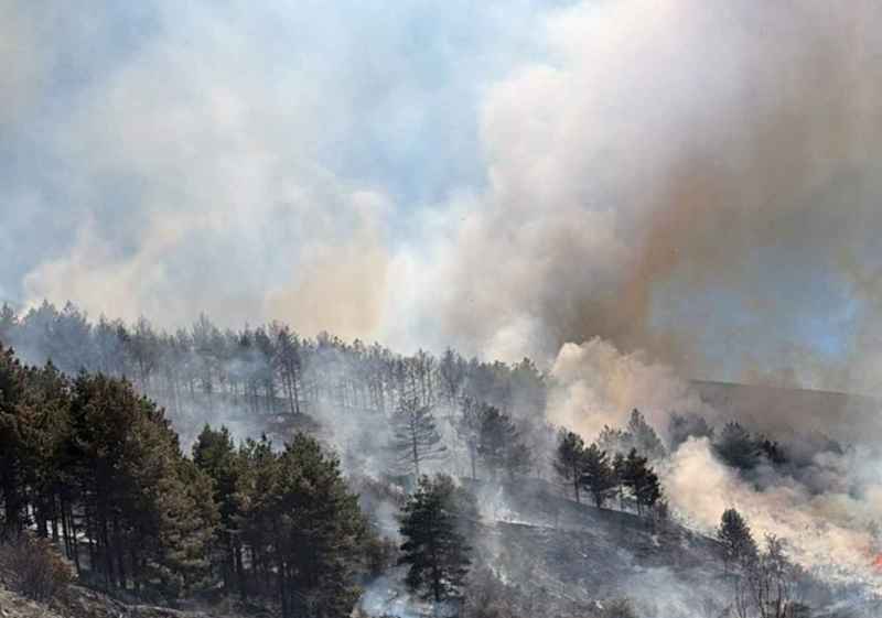 Un incendio calcina hectárea y media en Vozmediano