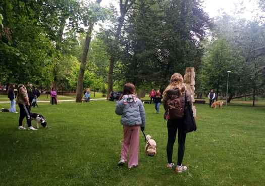 Almazán constriuirá un circuito canino “Agility