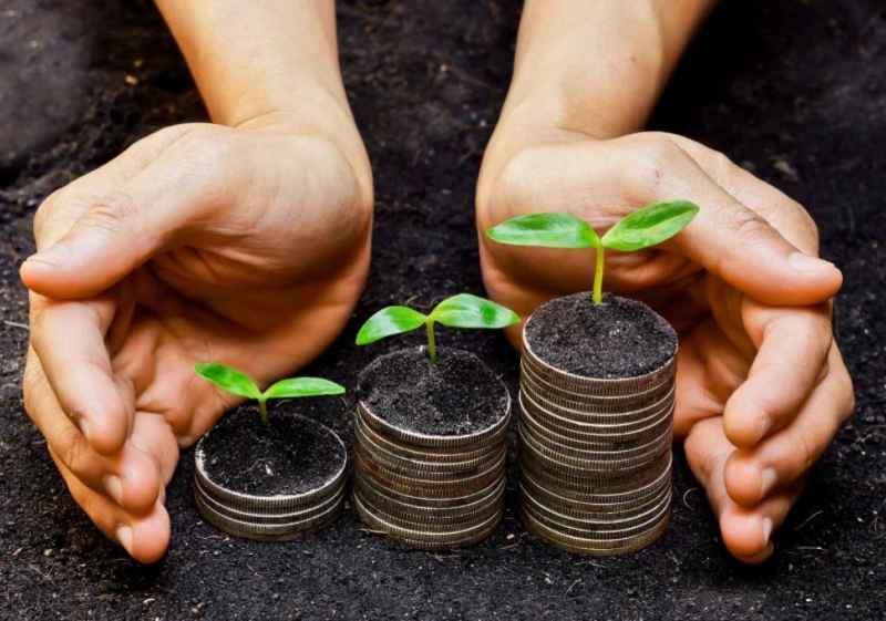 La Junta abre convocatoria de subvenciones para contratación de seguros agrarios 