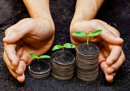 La Junta abre convocatoria de subvenciones para contratación de seguros agrarios 