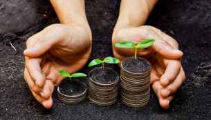 La Junta abre convocatoria de subvenciones para contratación de seguros agrarios 