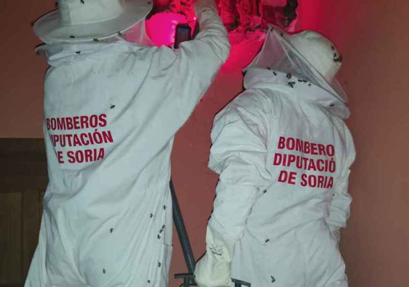 Los bomberos de Diputación retiran gran colmena de vivienda de Ucero