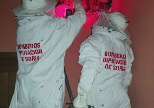 Los bomberos de Diputación retiran gran colmena de vivienda de Ucero