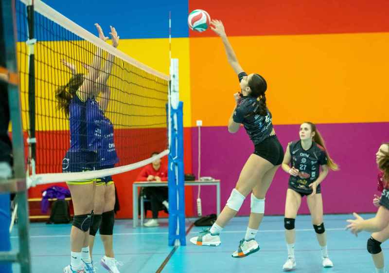 La Gala de Voleibol de Castilla y León premia a seis equipos del Sporting Santo Domingo