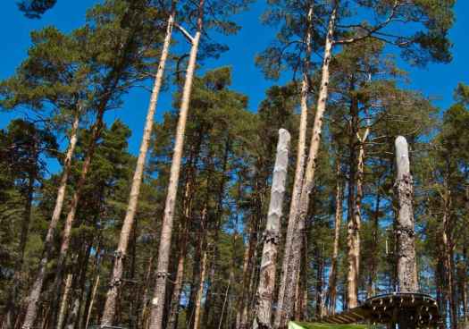 El CIEDA entrega las memorias de la Red Estatal de Montes Públicos 