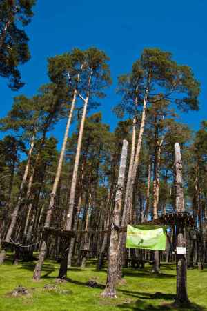 El CIEDA entrega las memorias de la Red Estatal de Montes Públicos 