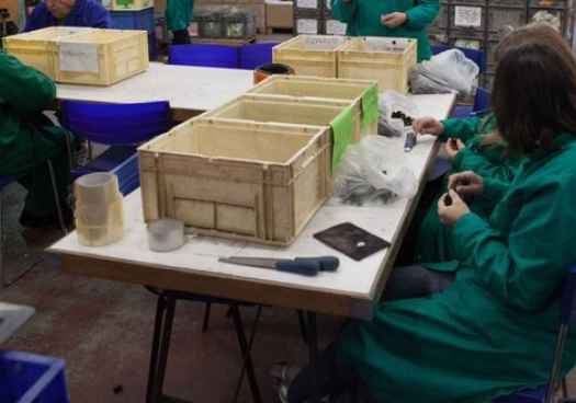 La Economia Social se convierte en pilar fundamental de ocupación en Castilla y León