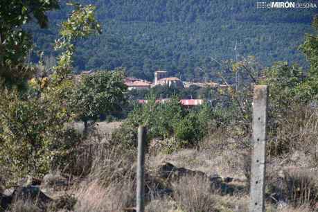 Refuerzo de prevención y extinción de incendios forestales en comarcas de Almarza y Vinuesa