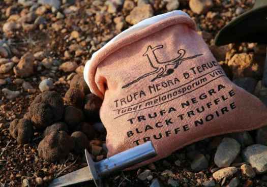 La trufa negra, de Teruel, reconocida con Indicación Geográfica Protegida (IGP)