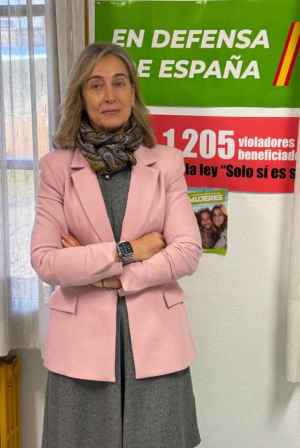 Vox Soria denuncia hachazo fiscal para cuadrar cuentas y retrasos en urbanismo 