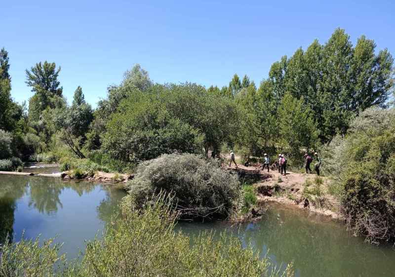 RestauraRíos culmina con visita a actuaciones de mejora en río Ucero