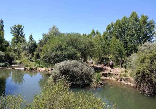 RestauraRíos culmina con visita a actuaciones de mejora en río Ucero