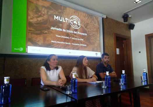 El proyecto MULTICAS quiere transformar medio rural de Asturias y León a través de castaño