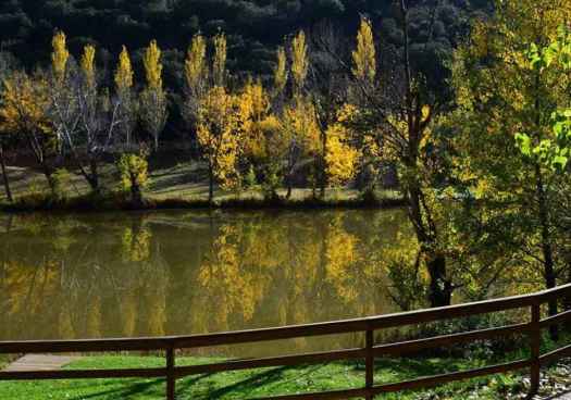 "Un soneto para Soria" encuentra ganador en Huesca para su décimo cuarta edición