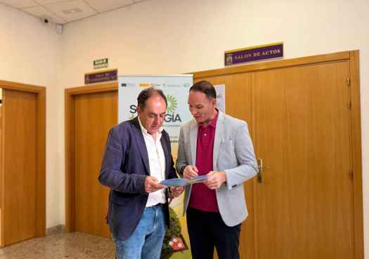Diputación acerca a  ayuntamientos ventajas del autoconsumo compartido y de comunidades energéticas