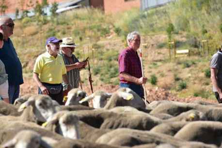 Los últimos trashumantes de Tierras Altas llegan a estación de 