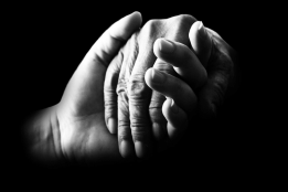Protejámonos dignamente unidos, o nos sepultamos solos