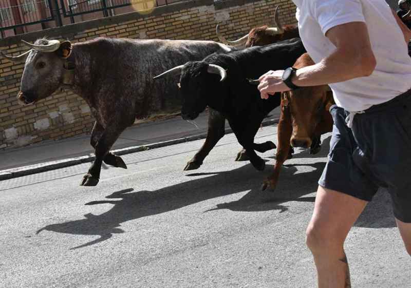 Encierro en la calle Valonsadero, de Soria, antes de las fiestas de San Juan