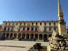 Con siete detenidos se salda registro de Ayuntamiento de Soria