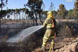 INFOCAL coordina 90 medios y más de 400 profesoinales para afrontar 18 incendios 