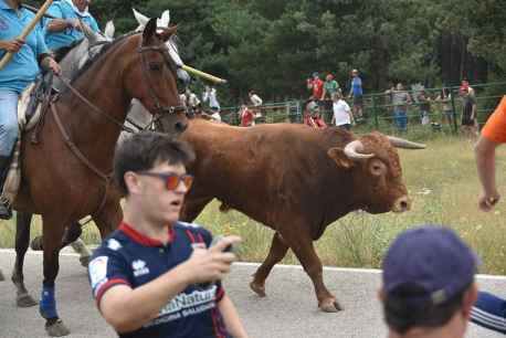 Fiestas de San Juan en Soria: la Saca, desde Valonsadero a Soria