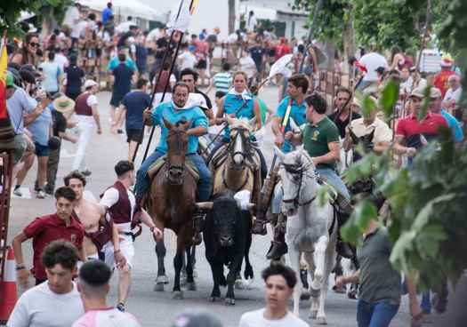 Así ha entrado "La Saca" en Soria, en las fiestas de San Juan