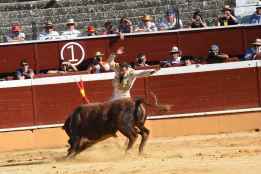 Antonio Ferrera abre la puerta grande del coso de San Benito