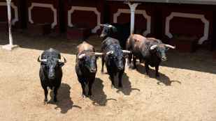 Sorteo y orden de lidia de toros de Bañuelos para cerrar feria de San Juan
